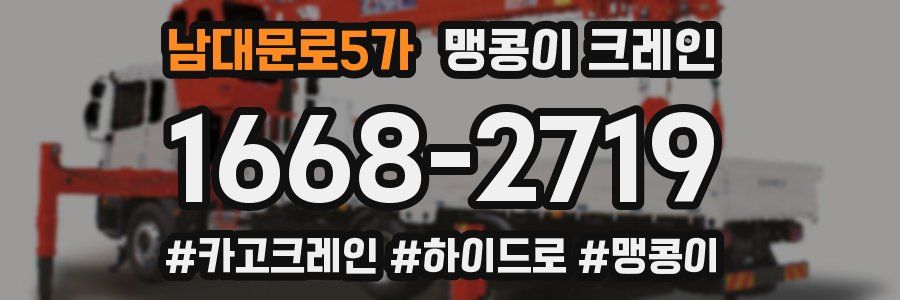 남대문로5가 맹콩이 크레인