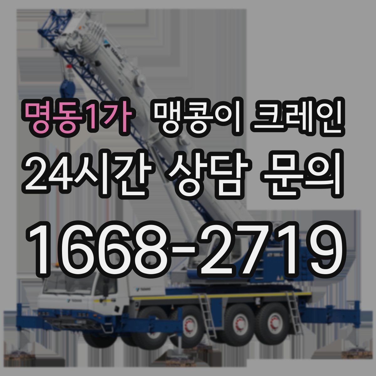 명동1가 맹콩이 크레인