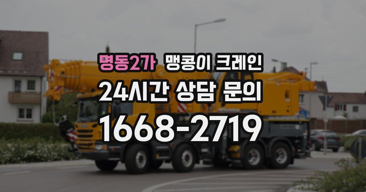 명동2가 맹콩이 크레인