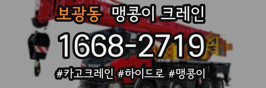 보광동 맹콩이 크레인
