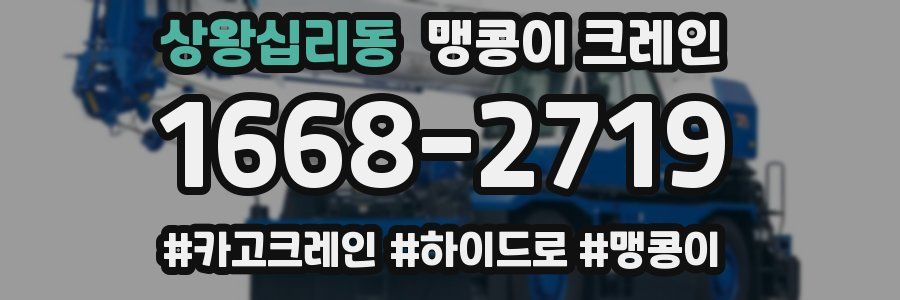 상왕십리동 맹콩이 크레인