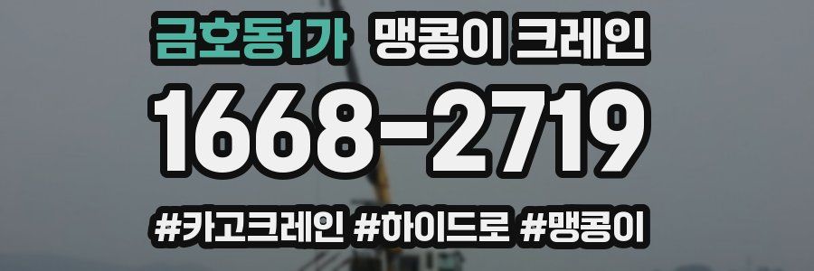 금호동1가 맹콩이 크레인