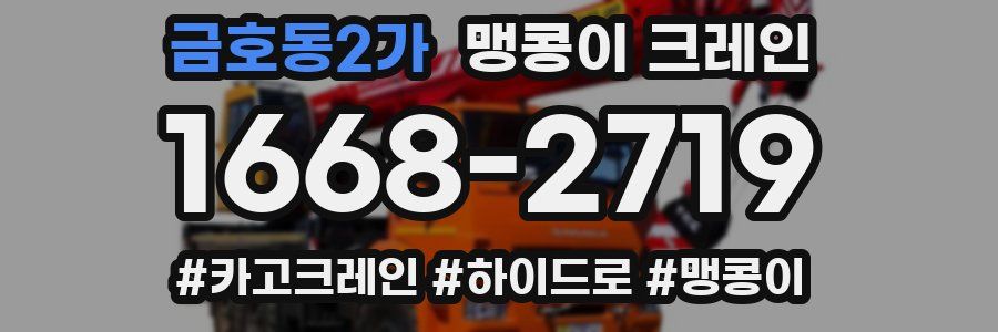 금호동2가 맹콩이 크레인