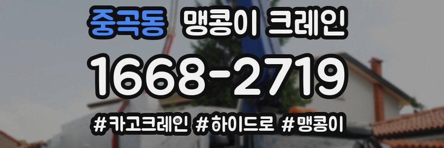 중곡동 맹콩이 크레인