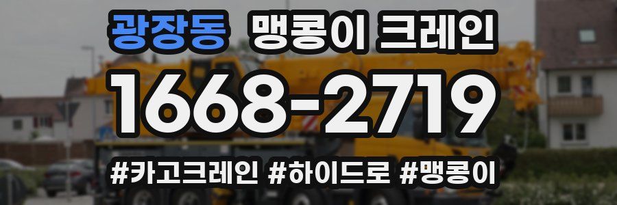 광장동 맹콩이 크레인