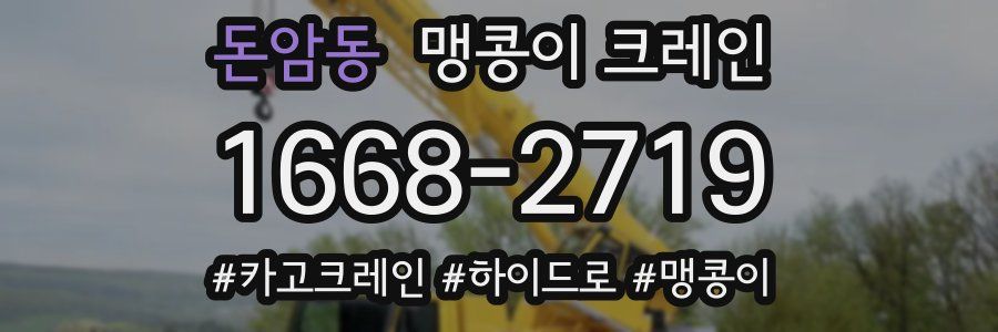 돈암동 맹콩이 크레인