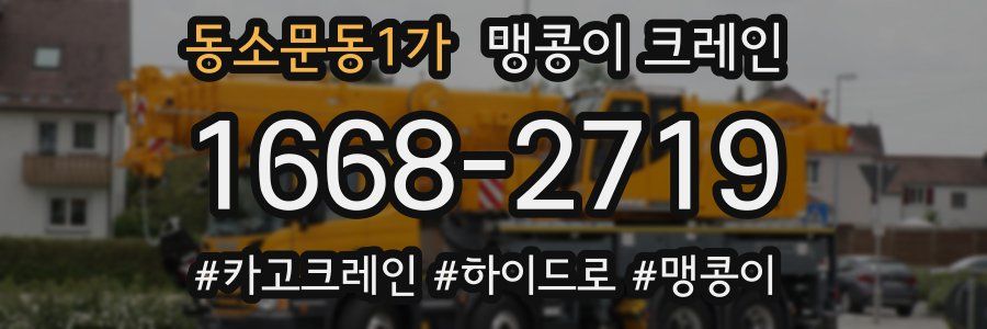 동소문동1가 맹콩이 크레인