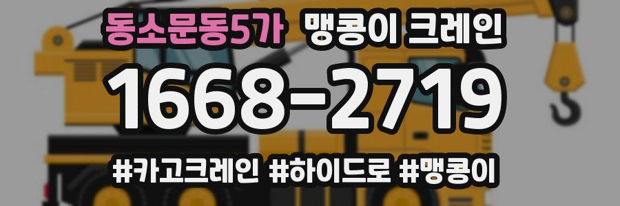 동소문동5가 맹콩이 크레인