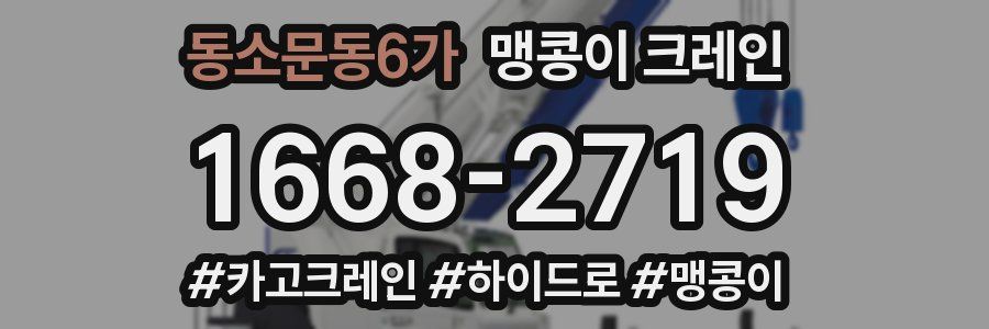 동소문동6가 맹콩이 크레인