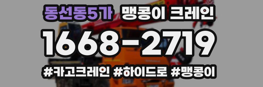 동선동5가 맹콩이 크레인