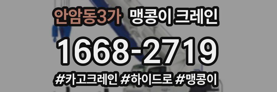 안암동3가 맹콩이 크레인