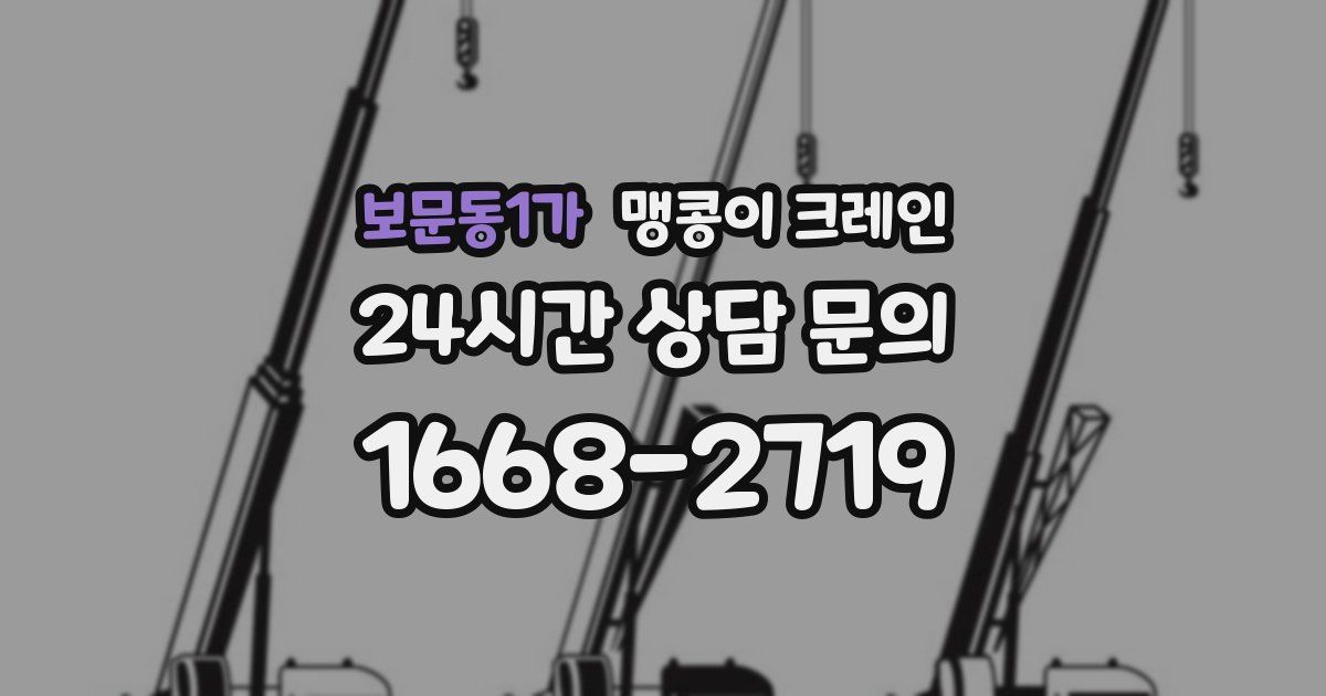 보문동1가 맹콩이 크레인