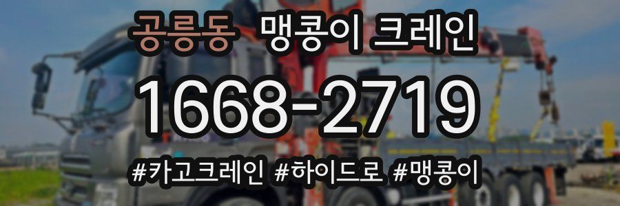 공릉동 맹콩이 크레인