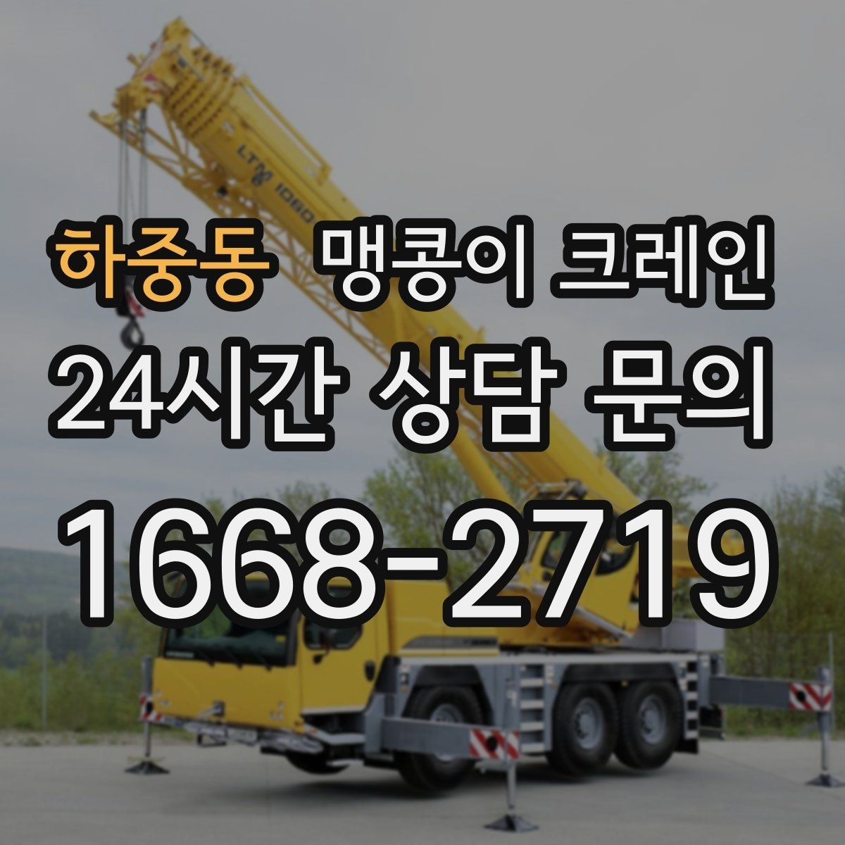 하중동 맹콩이 크레인 카고 크레인과 어떤 점이 다른가요