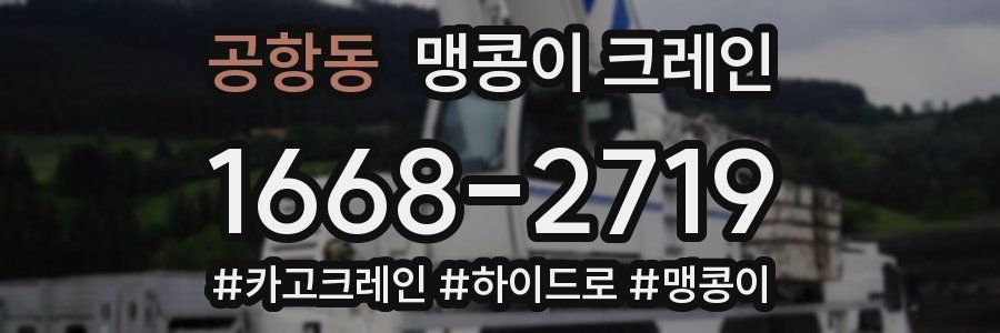 공항동 맹콩이 크레인