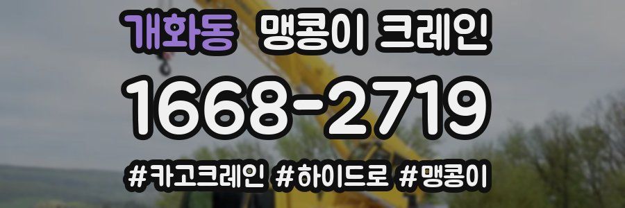 개화동 맹콩이 크레인