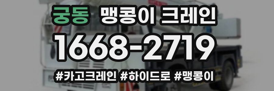 궁동 맹콩이 크레인