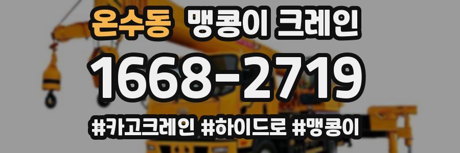 온수동 맹콩이 크레인
