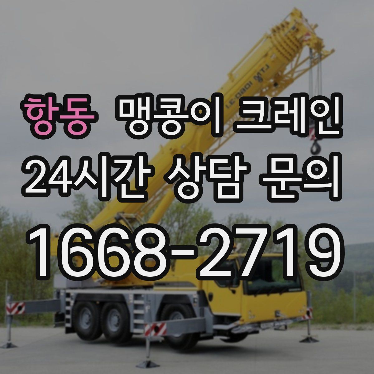 항동 맹콩이 크레인 신호수 배치가 중요한 이유