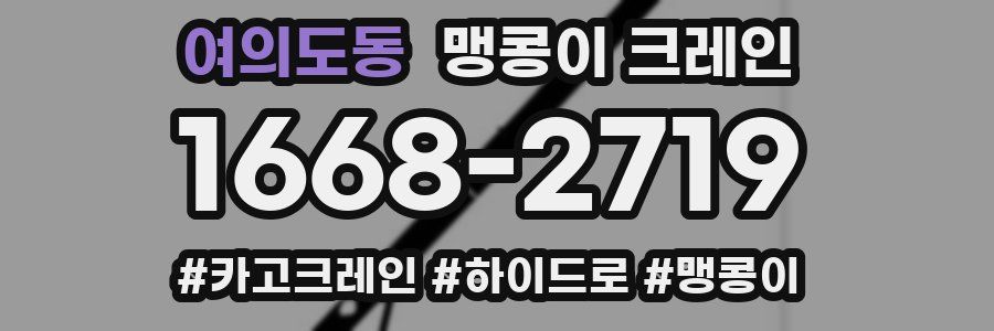 여의도동 맹콩이 크레인