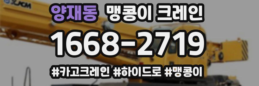 양재동 맹콩이 크레인