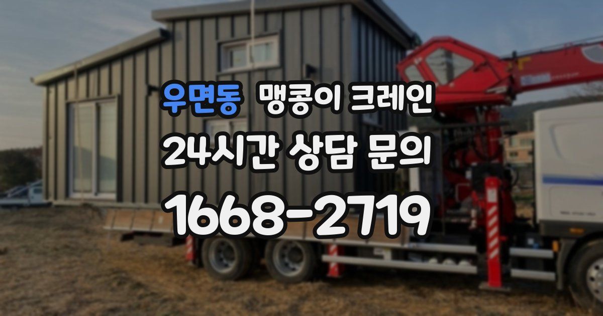 우면동 맹콩이 크레인