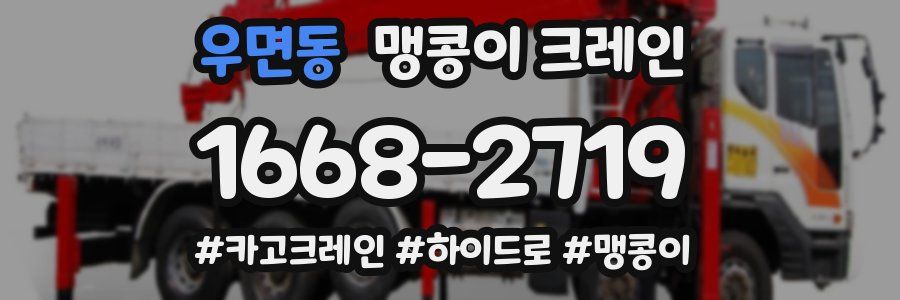 우면동 맹콩이 크레인