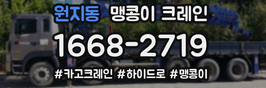 원지동 맹콩이 크레인