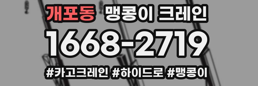 개포동 맹콩이 크레인