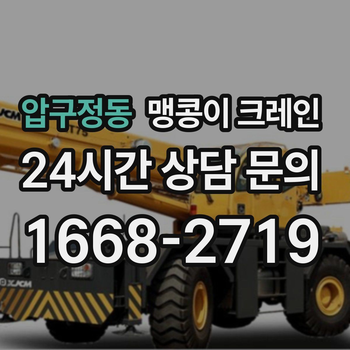 압구정동 맹콩이 크레인 카고 크레인과 어떤 점이 다른가요