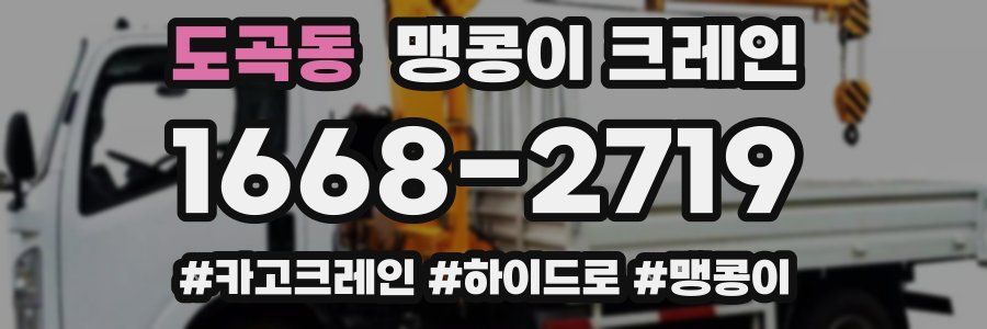 도곡동 맹콩이 크레인