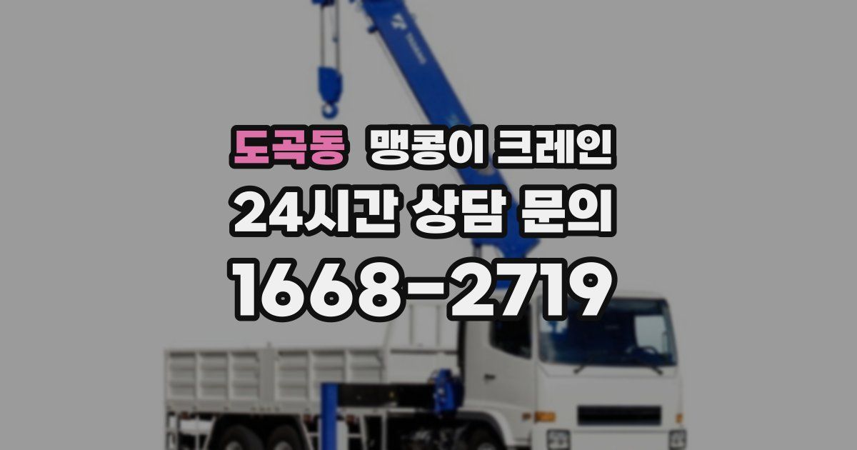 도곡동 맹콩이 크레인