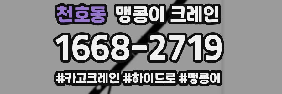 천호동 맹콩이 크레인