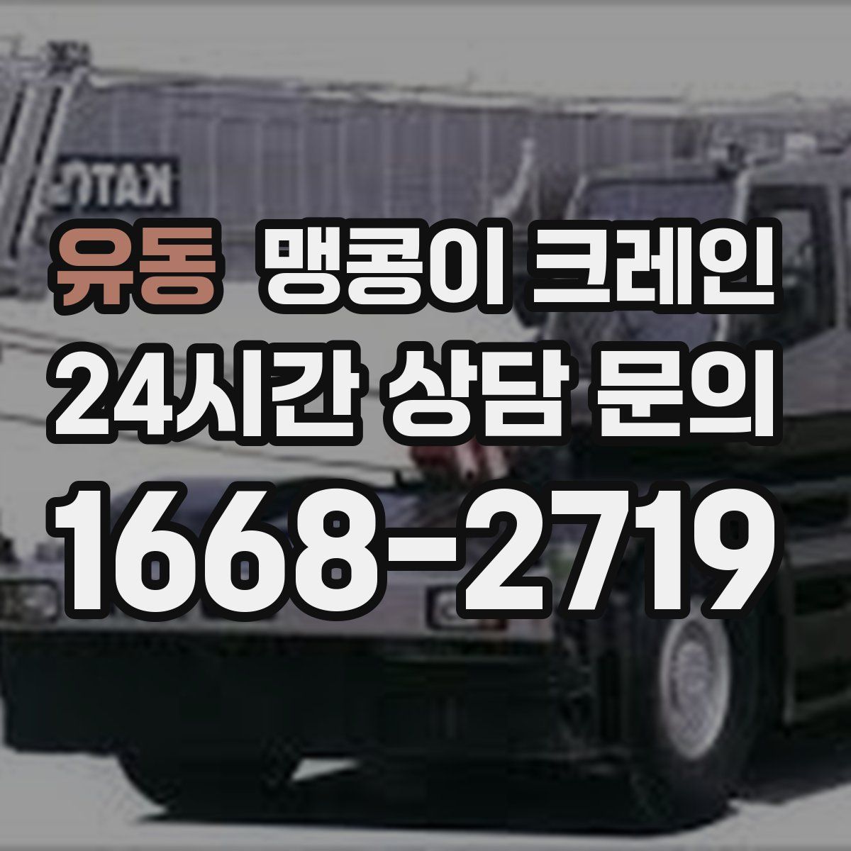 유동 맹콩이 크레인