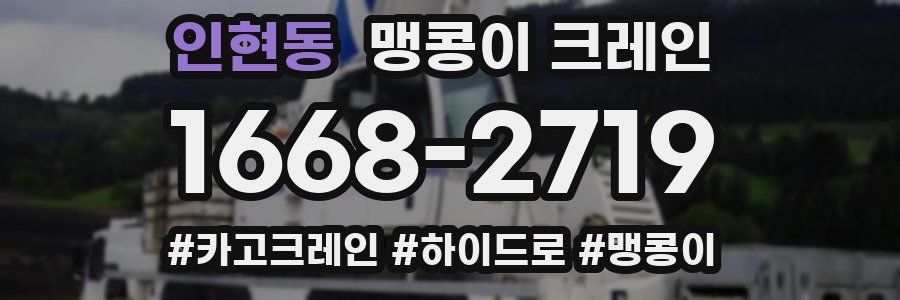 인현동 맹콩이 크레인