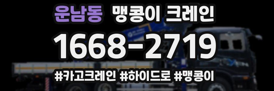 운남동 맹콩이 크레인