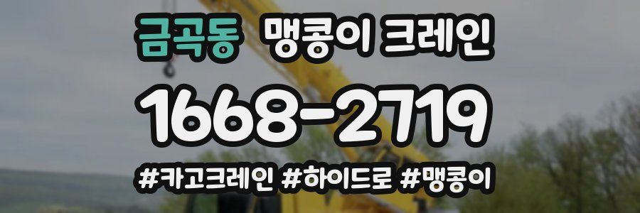 금곡동 맹콩이 크레인