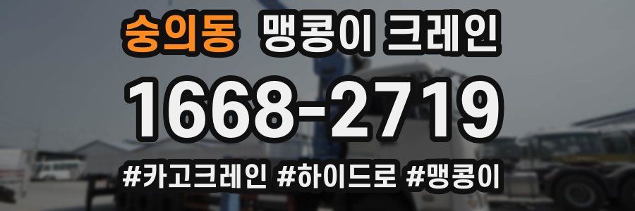 숭의동 맹콩이 크레인