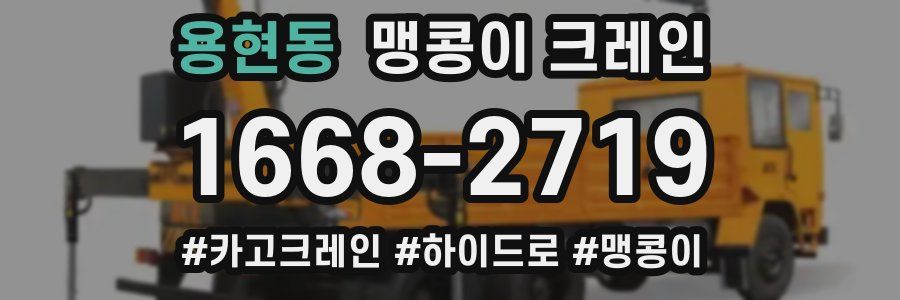 용현동 맹콩이 크레인