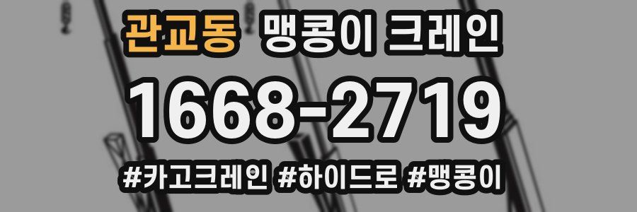 관교동 맹콩이 크레인