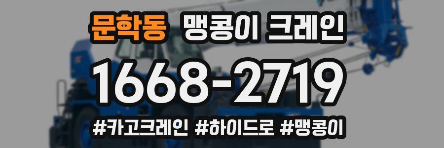 문학동 맹콩이 크레인