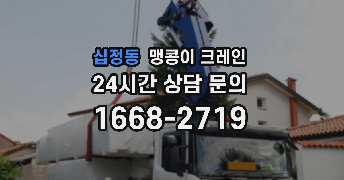 십정동 맹콩이 크레인