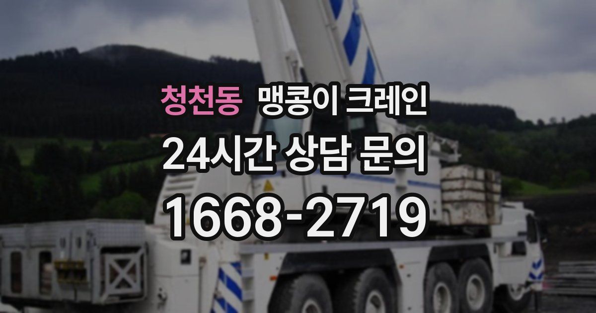 청천동 맹콩이 크레인