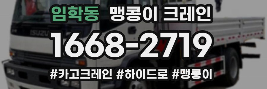 임학동 맹콩이 크레인