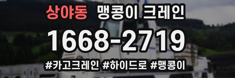 상야동 맹콩이 크레인