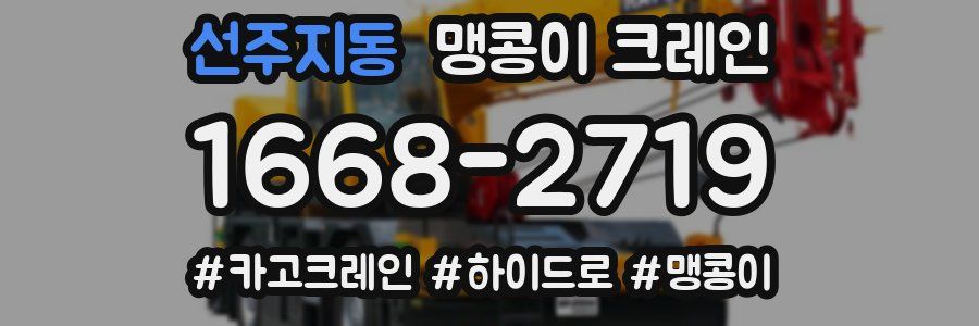 선주지동 맹콩이 크레인