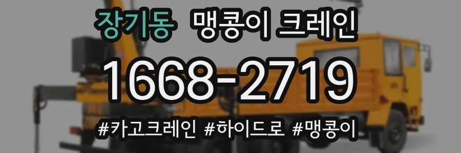 장기동 맹콩이 크레인