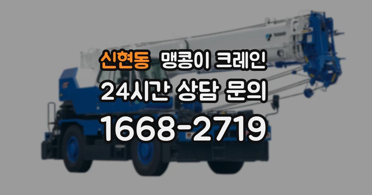 신현동 맹콩이 크레인