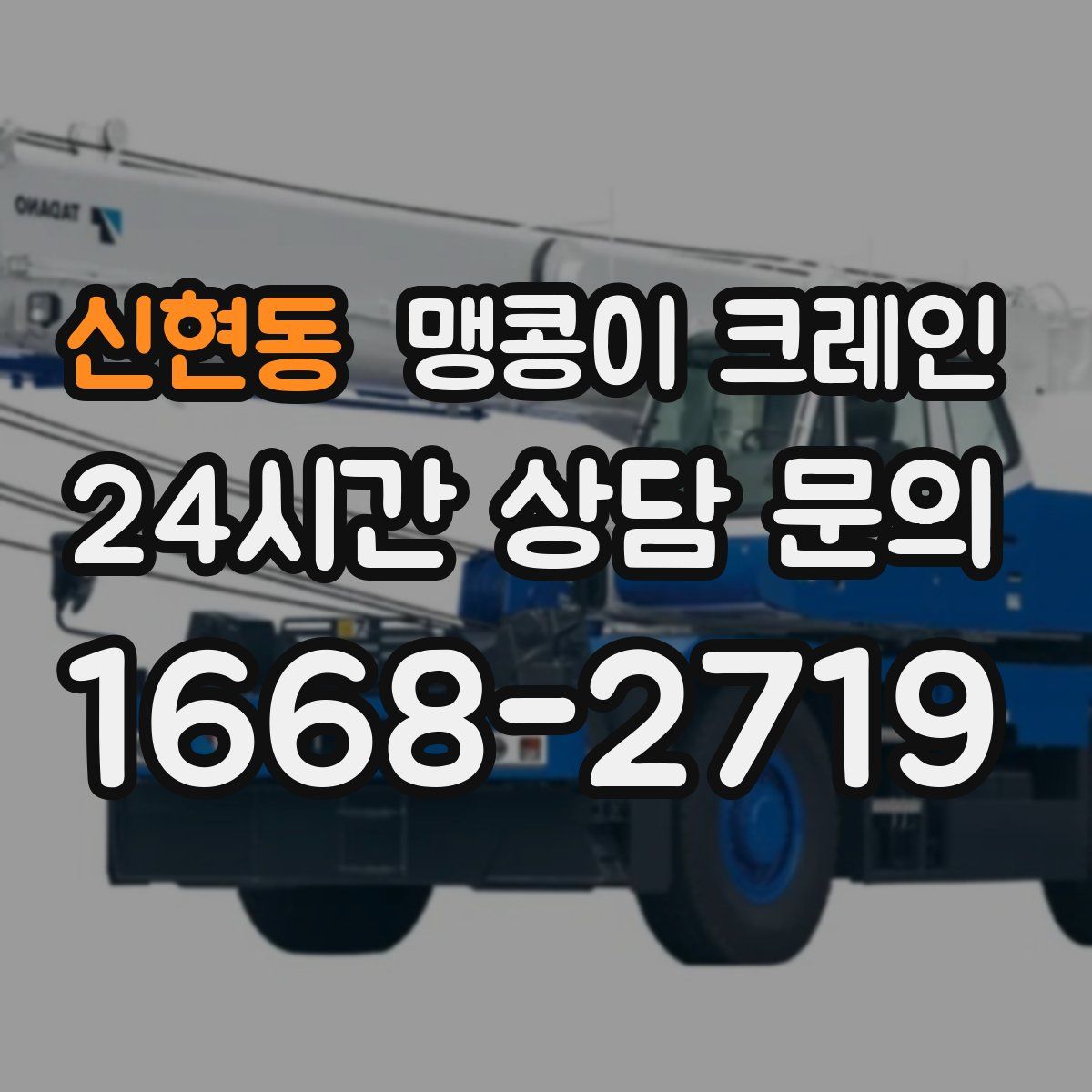 신현동 맹콩이 크레인