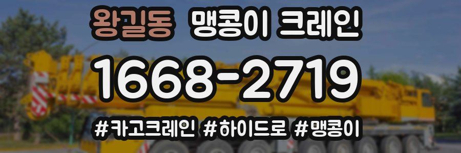 왕길동 맹콩이 크레인